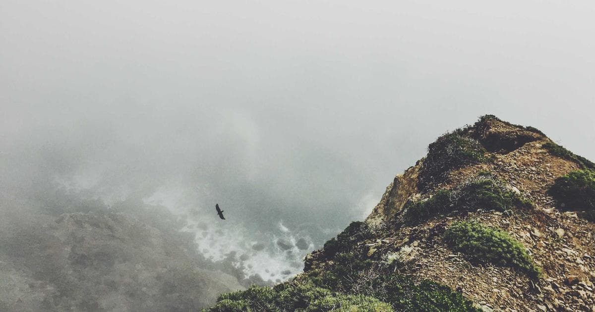 On-Device vs Cloud Inference for Mobile AI Features