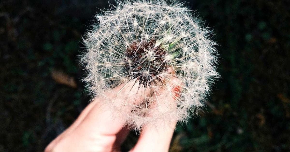 Choosing Between REST, GraphQL, and gRPC for Internal Services