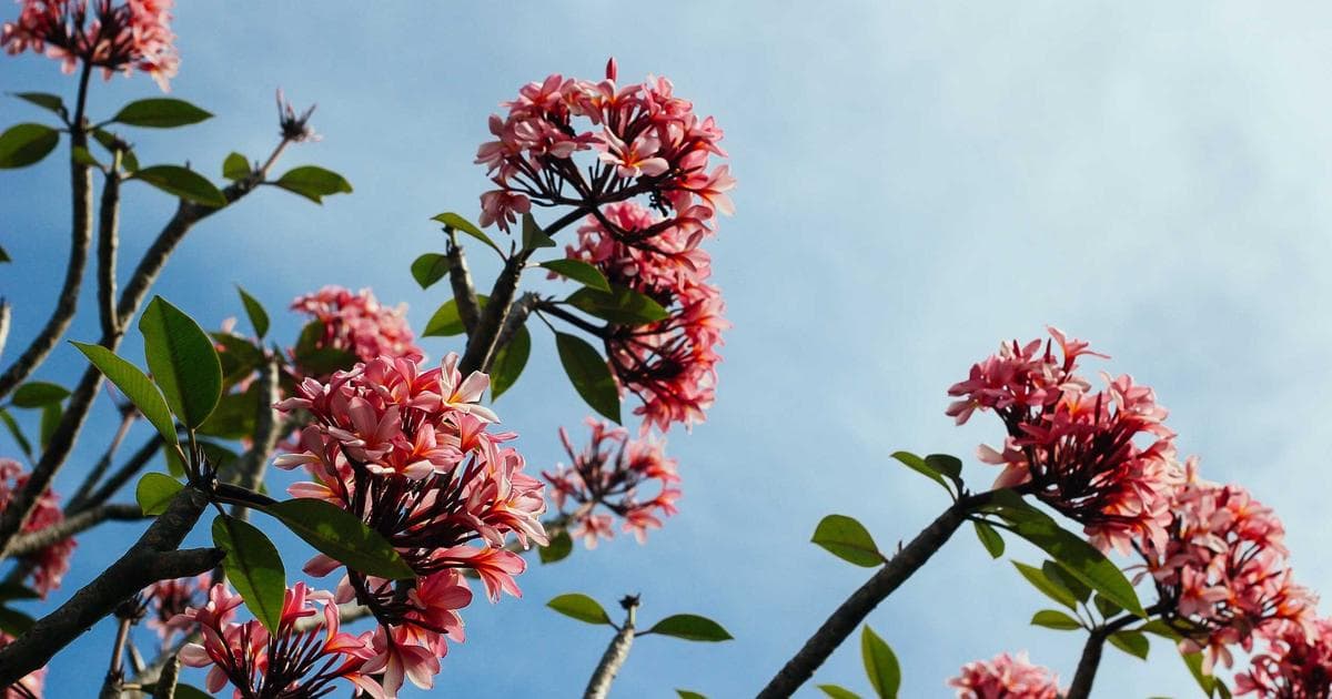Agentic Workflows for Internal Automation: What's Worth Building