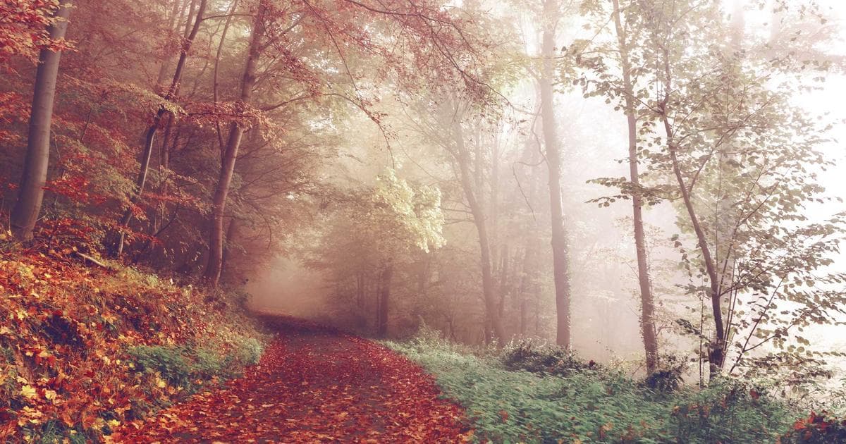 Building a Subscription Paywall That Doesn't Feel Hostile
