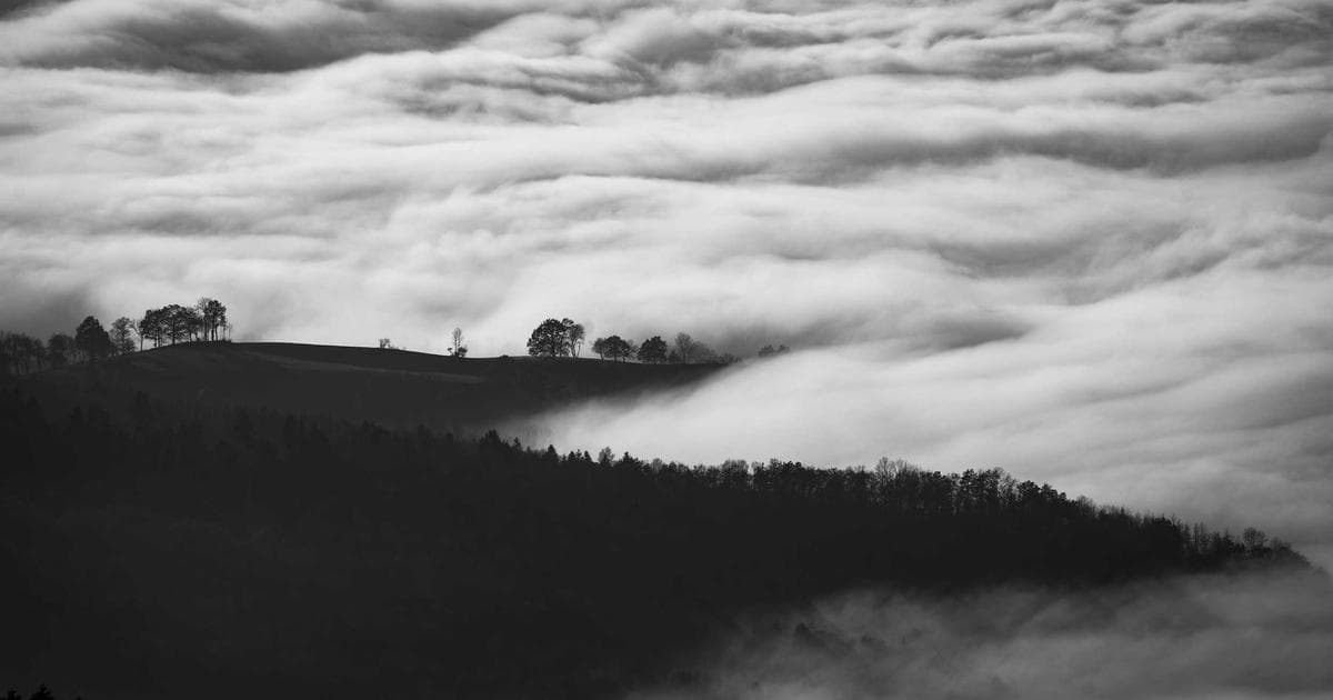 Building Accessible Web Forms That Pass a Real Audit