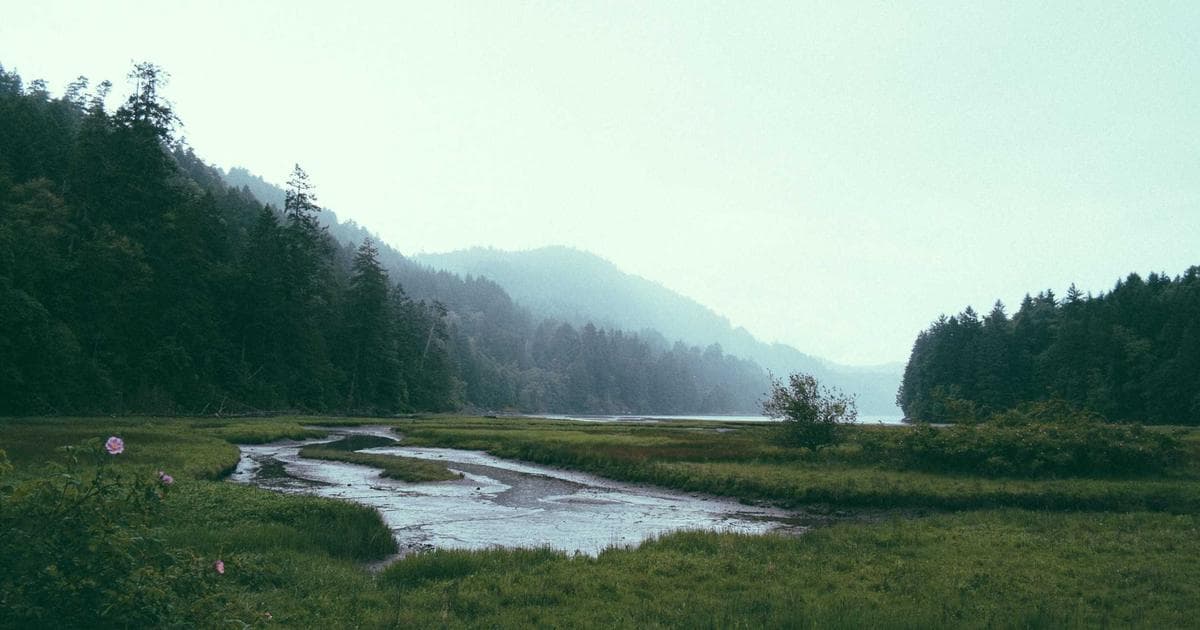 Designing for Dark Mode From the Start Instead of Retrofitting It