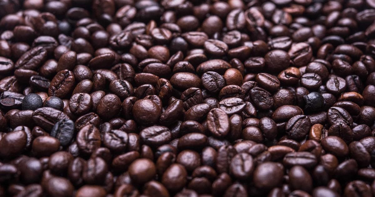 Grid Systems and Layout Consistency Across a Growing Product