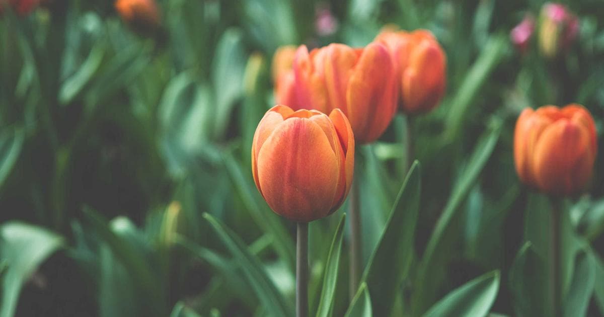 Real-Time AI Features: WebSockets, Streaming, and Partial Results